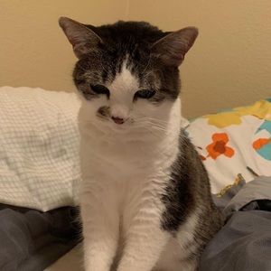 Meet your Posher, Jirushaya